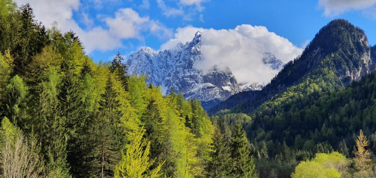 Apartment Alpska Astra Kranjska Gora Exteriér fotografie
