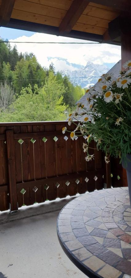 Apartment Alpska Astra Kranjska Gora Exteriér fotografie